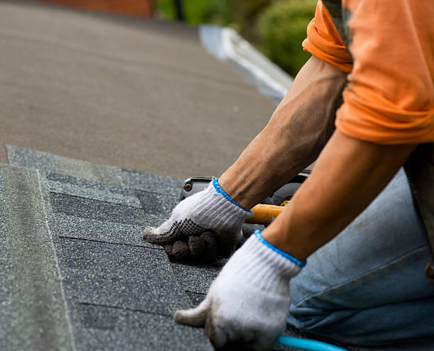 Quick and Trustworthy Emergency Roof Repair Services in Bell, CA